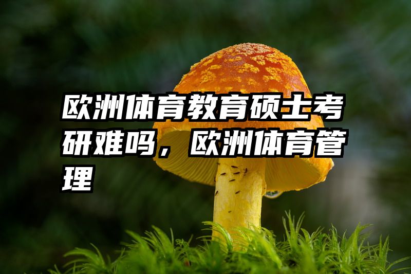 欧洲体育教育硕士考研难吗，欧洲体育管理