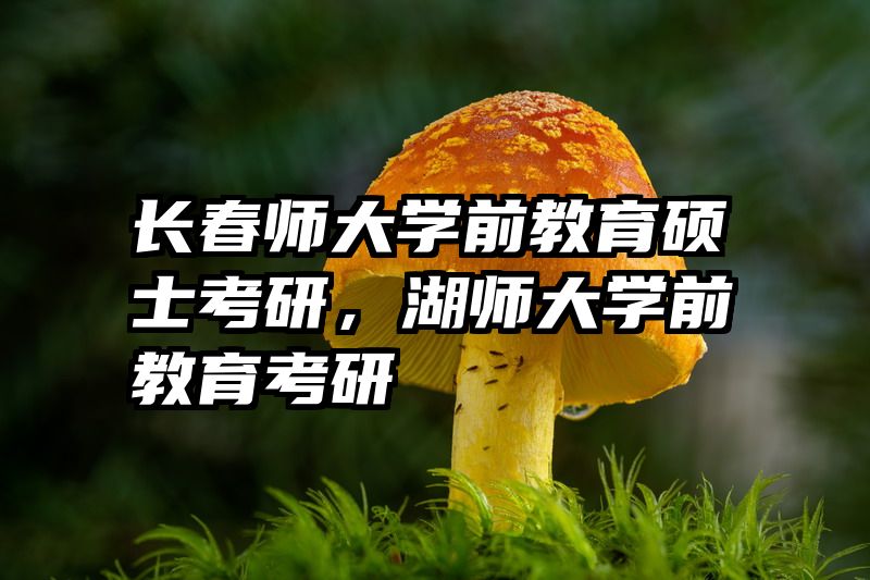 长春师大学前教育硕士考研，湖师大学前教育考研