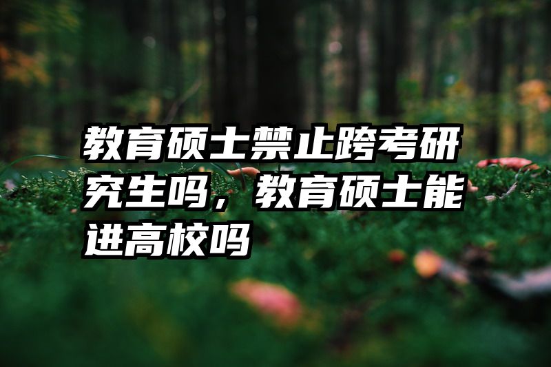 教育硕士禁止跨考研究生吗，教育硕士能进高校吗