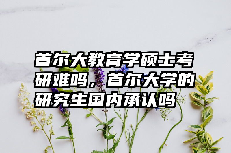首尔大教育学硕士考研难吗，首尔大学的研究生国内承认吗