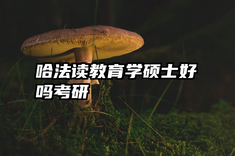 哈法读教育学硕士好吗考研