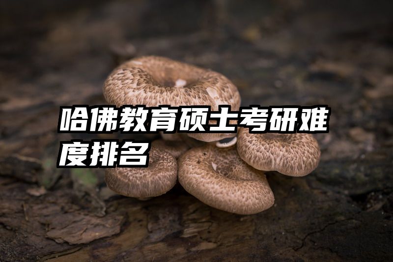 哈佛教育硕士考研难度排名