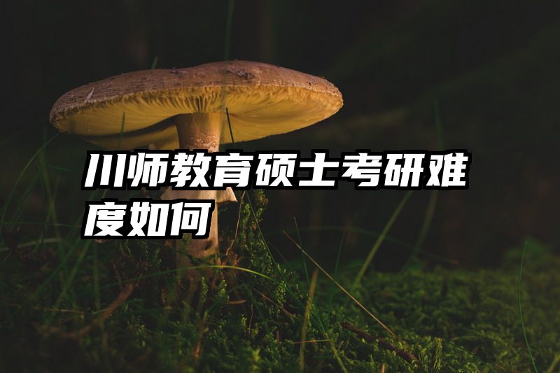 川师教育硕士考研难度如何