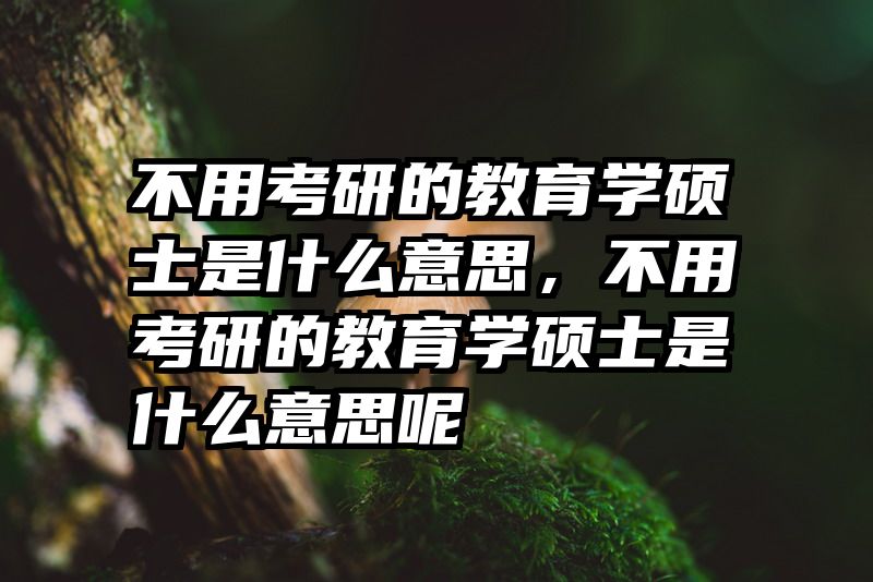 不用考研的教育学硕士是什么意思，不用考研的教育学硕士是什么意思呢