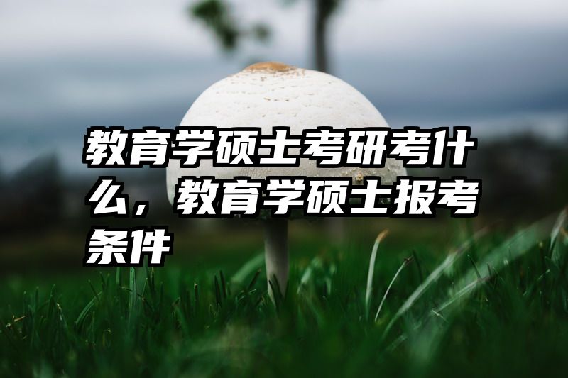 教育学硕士考研考什么，教育学硕士报考条件