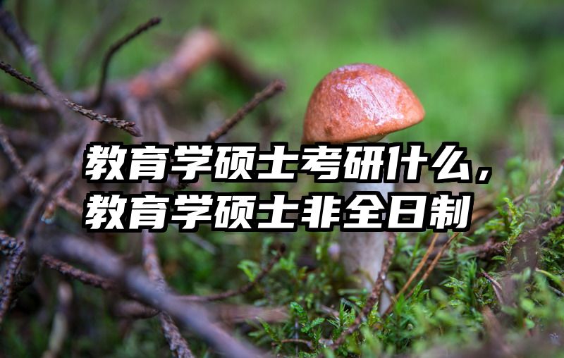 教育学硕士考研什么，教育学硕士非全日制