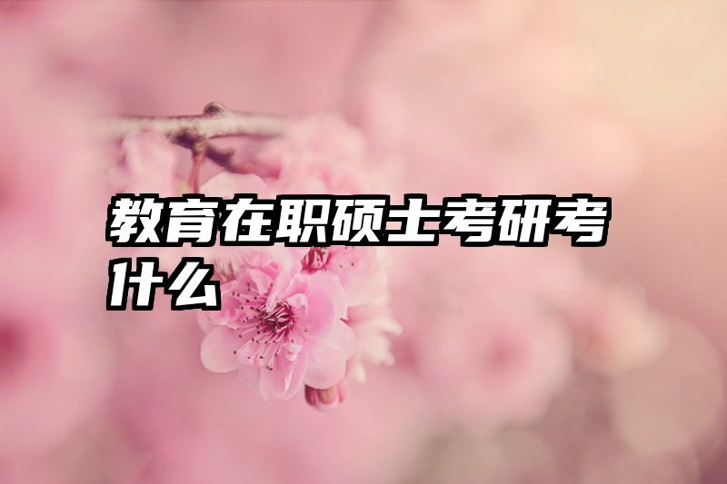 教育在职硕士考研考什么