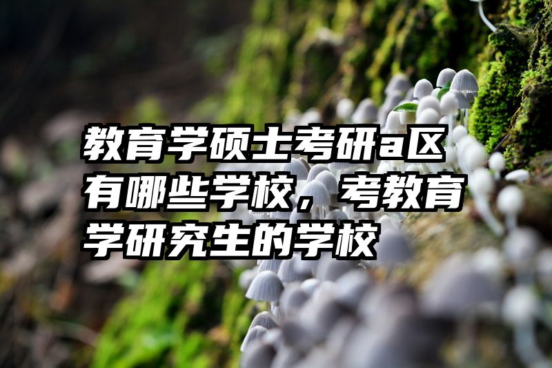教育学硕士考研a区有哪些学校，考教育学研究生的学校