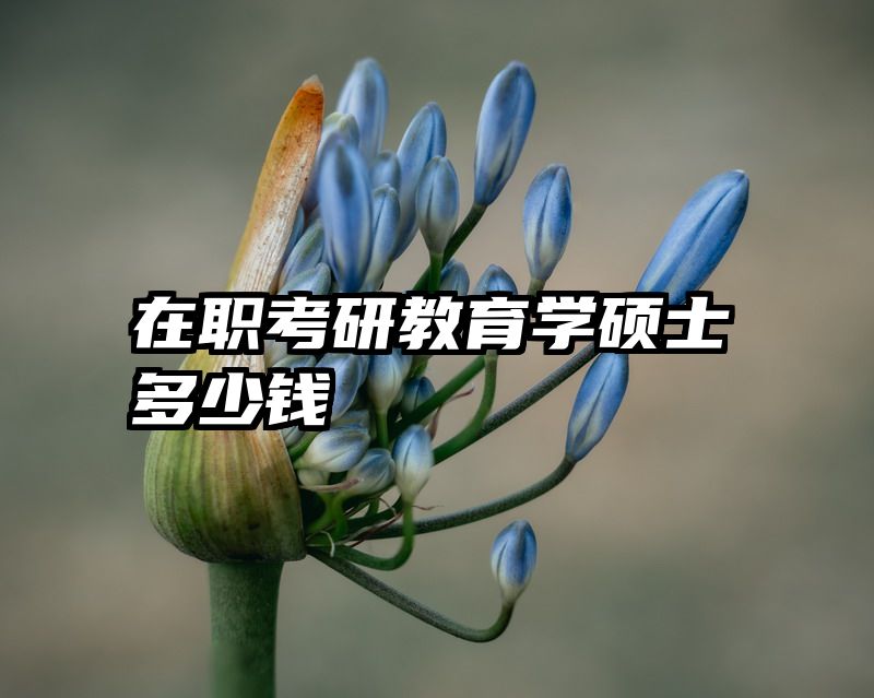 在职考研教育学硕士多少钱