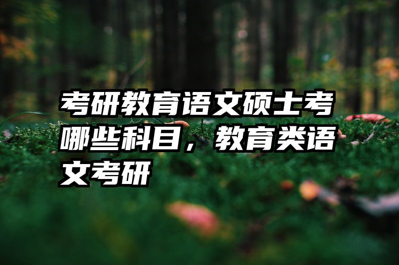 考研教育语文硕士考哪些科目，教育类语文考研