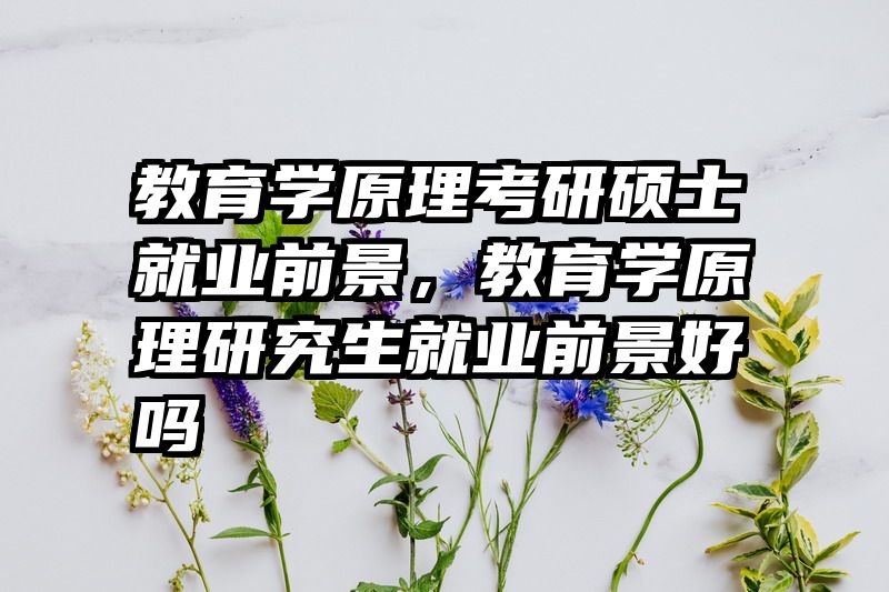 教育学原理考研硕士就业前景，教育学原理研究生就业前景好吗