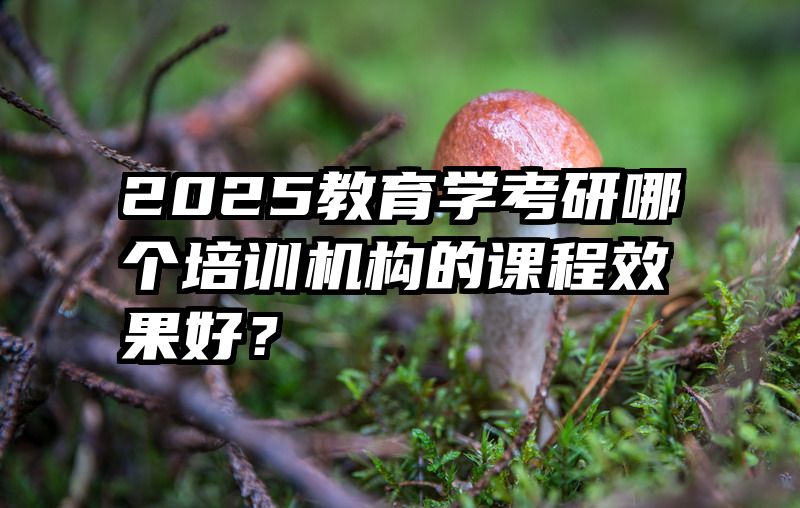2025教育学考研哪个培训机构的课程效果好？