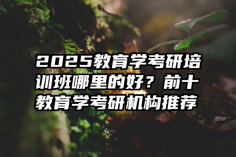 2025教育学考研培训班哪里的好？前十教育学考研机构推荐