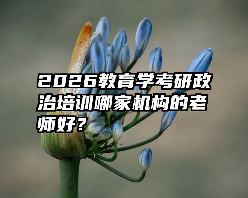 2026教育学考研政治培训哪家机构的老师好？