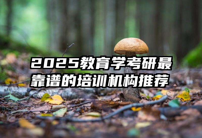 2025教育学考研最靠谱的培训机构推荐