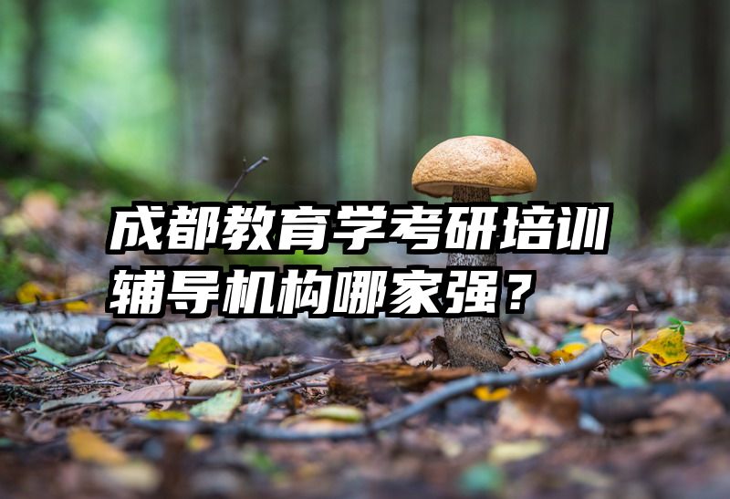 成都教育学考研培训辅导机构哪家强？