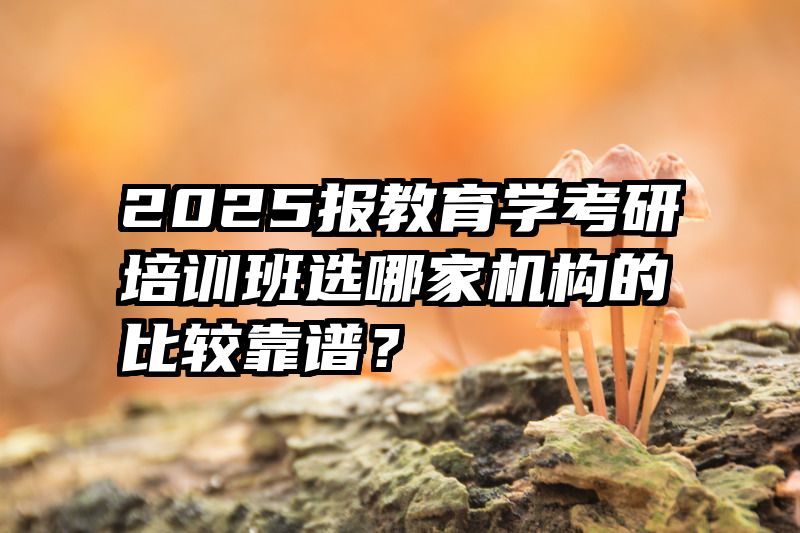 2025报教育学考研培训班选哪家机构的比较靠谱？