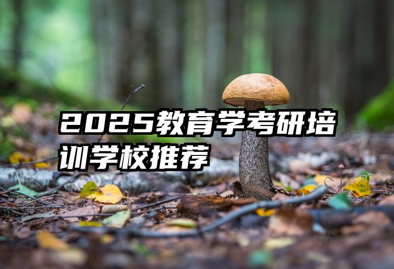 2025教育学考研培训学校推荐