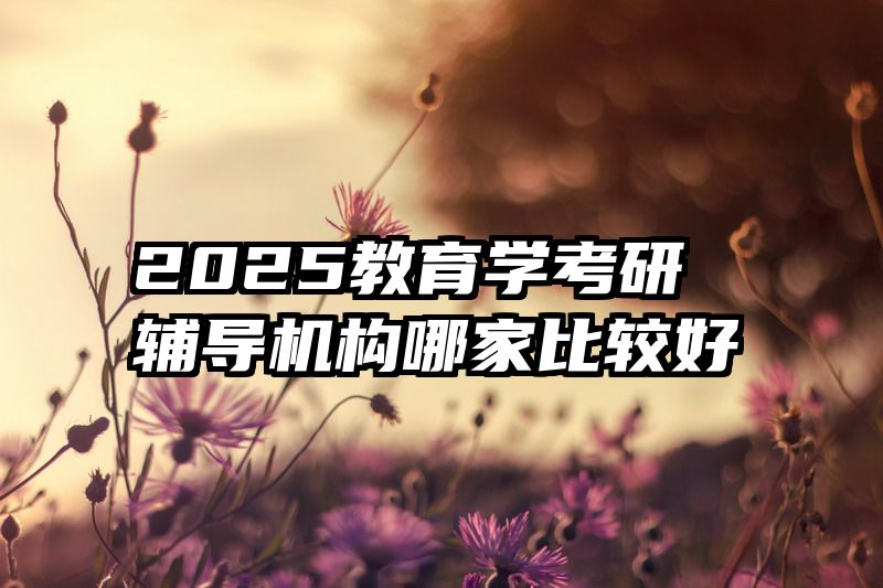 2025教育学考研辅导机构哪家比较好