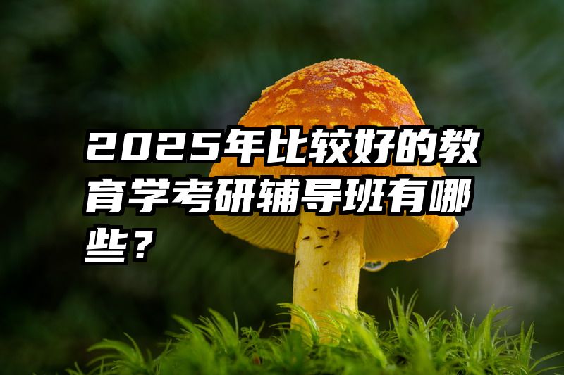 2025年比较好的教育学考研辅导班有哪些？