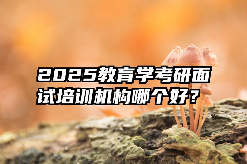 2025教育学考研面试培训机构哪个好？