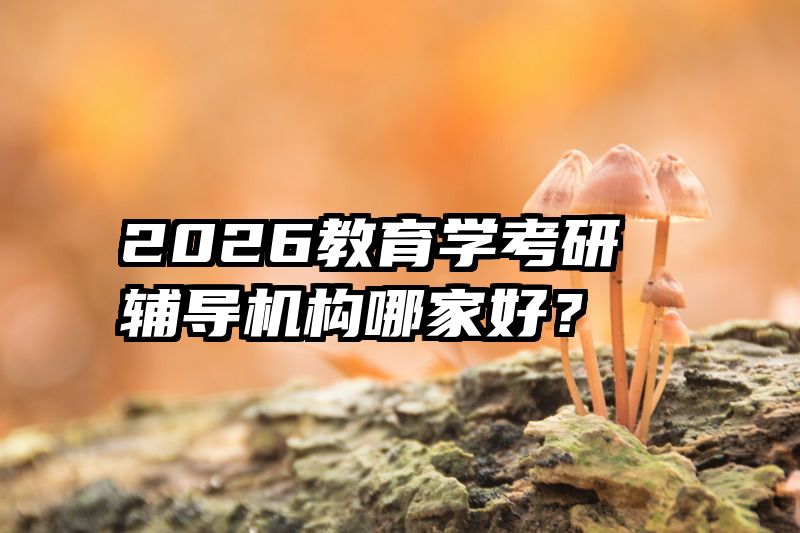 2026教育学考研辅导机构哪家好？