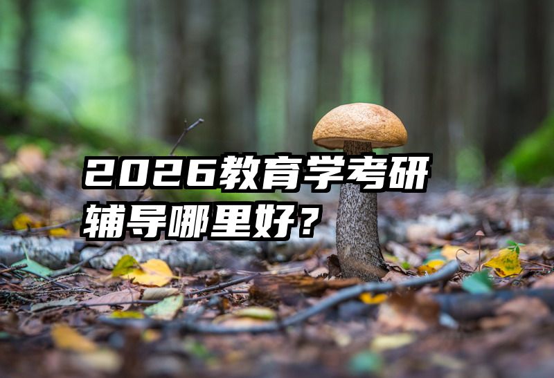 2026教育学考研辅导哪里好？