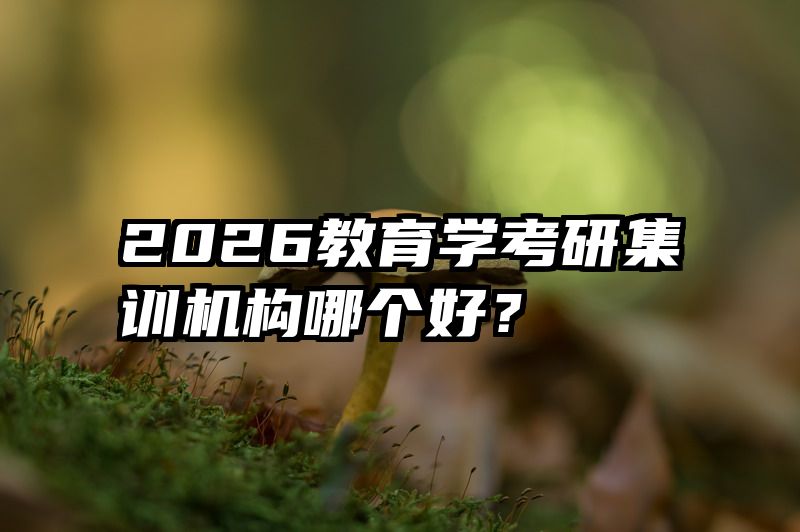 2026教育学考研集训机构哪个好？