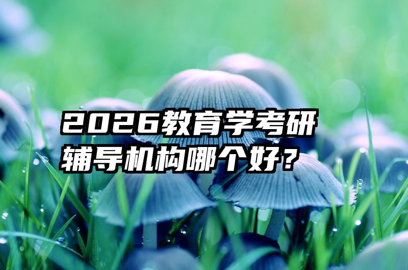 2026教育学考研辅导机构哪个好？