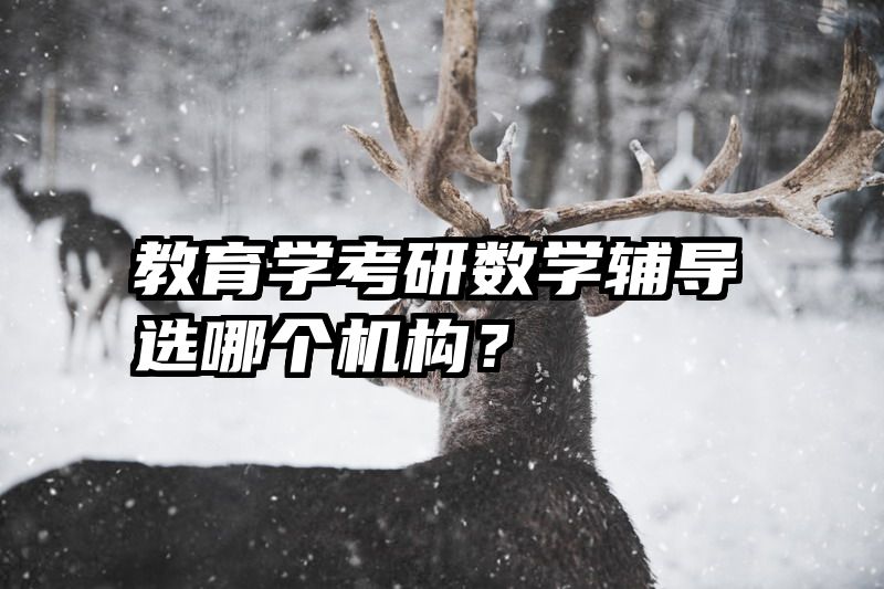 教育学考研数学辅导选哪个机构？