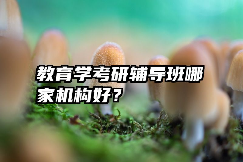 教育学考研辅导班哪家机构好？