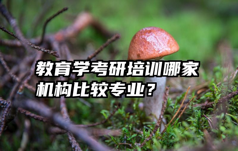教育学考研培训哪家机构比较专业？