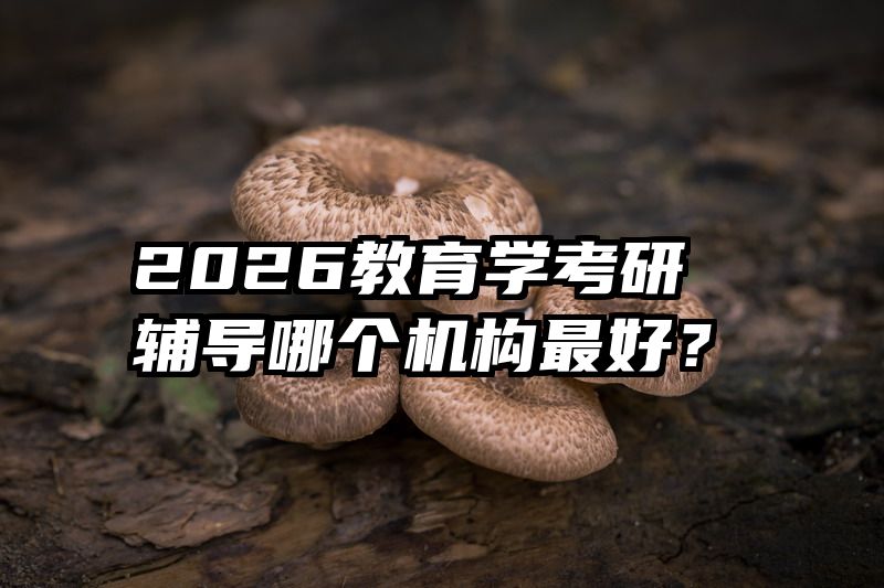 2026教育学考研辅导哪个机构最好？