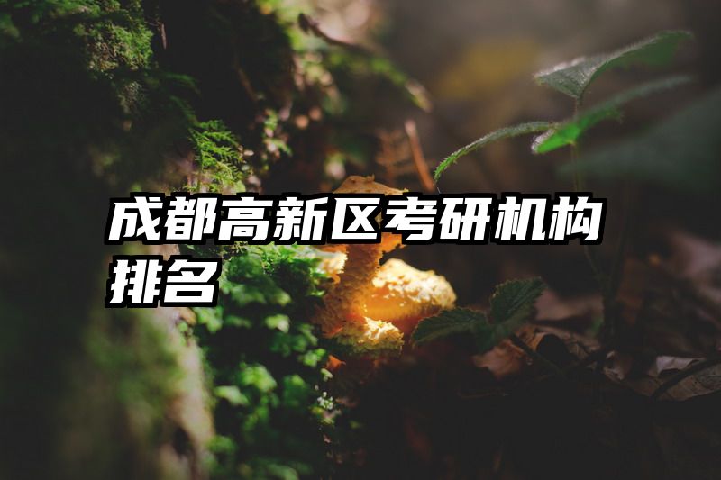 成都高新区考研机构排名