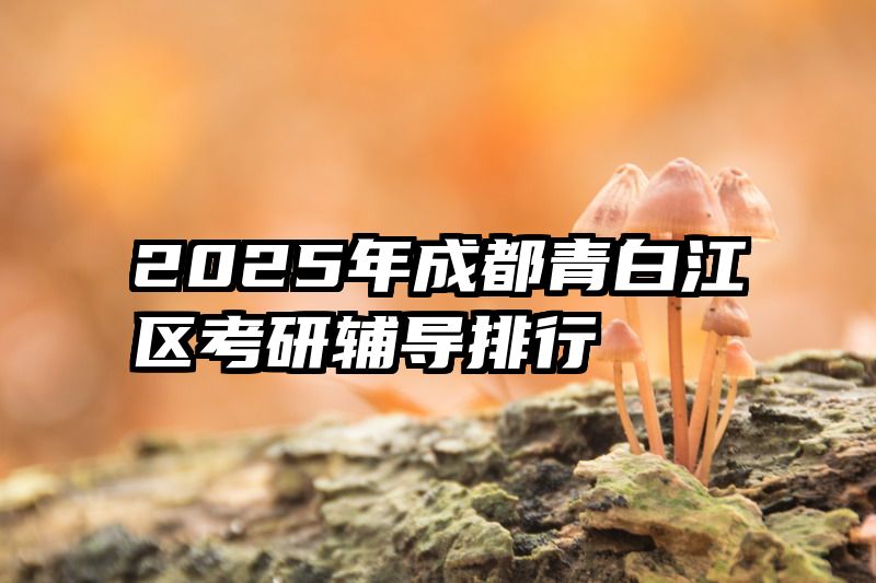 2025年成都青白江区考研辅导排行