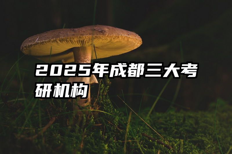 2025年成都三大考研机构