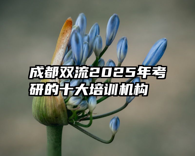 成都双流2025年考研的十大培训机构