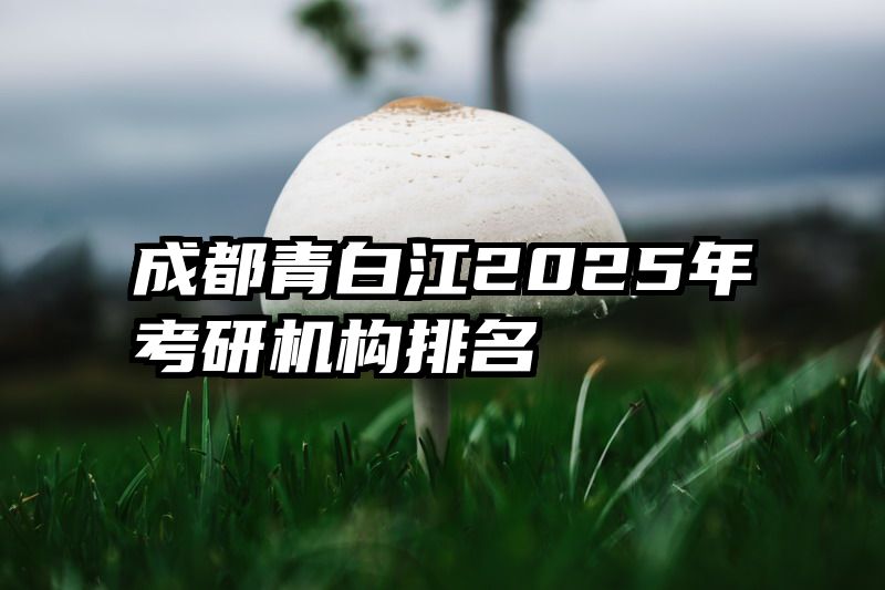 成都青白江2025年考研机构排名