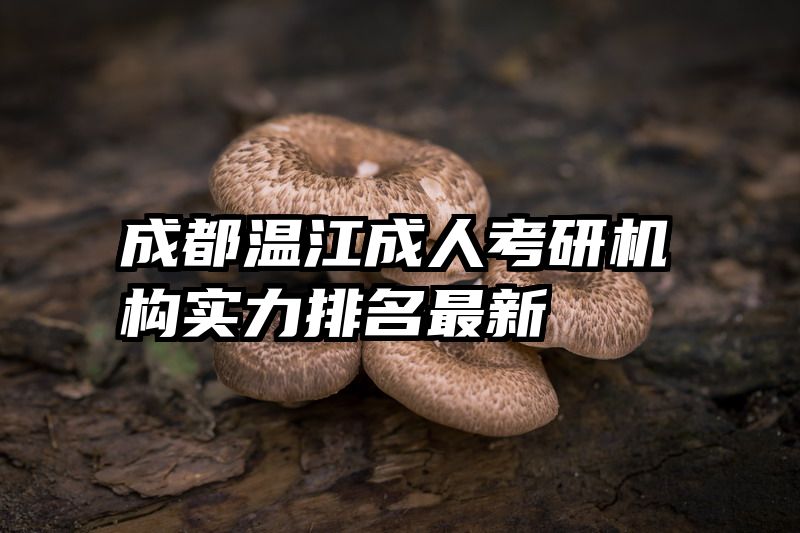 成都温江成人考研机构实力排名最新