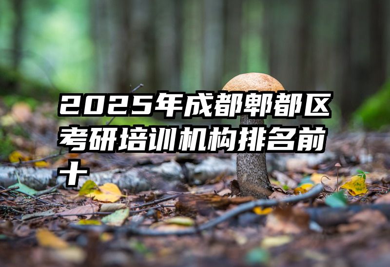 2025年成都郫都区考研培训机构排名前十