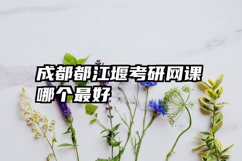 成都都江堰考研网课哪个最好
