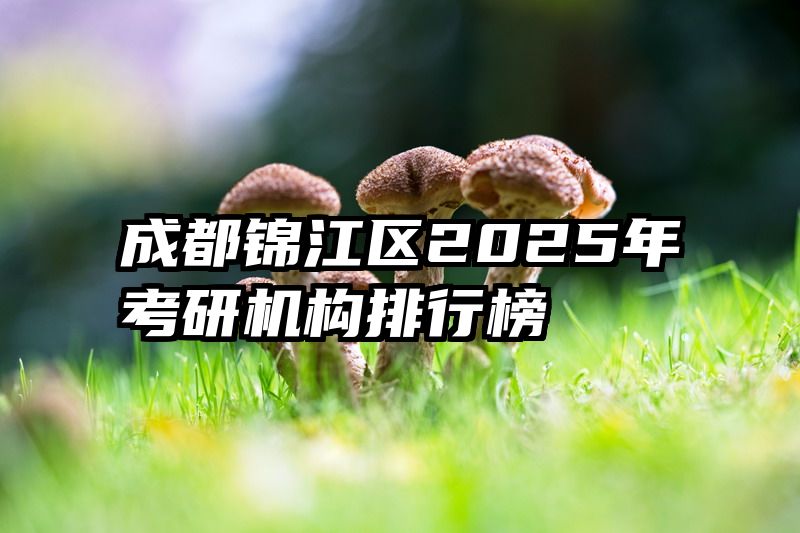 成都锦江区2025年考研机构排行榜