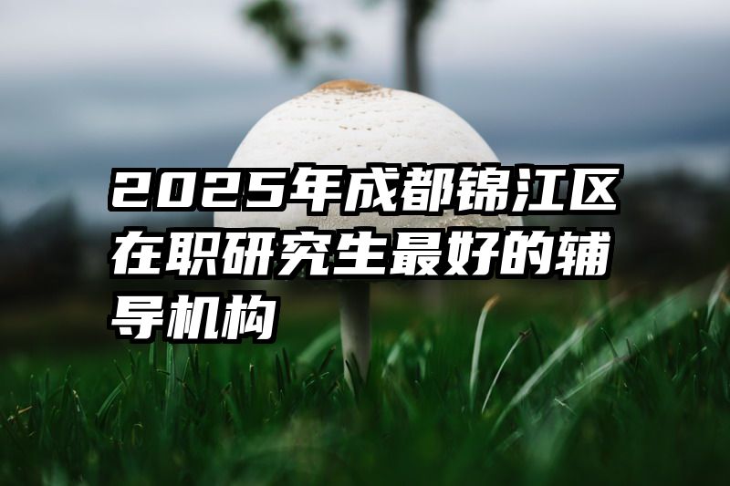 2025年成都锦江区在职研究生最好的辅导机构