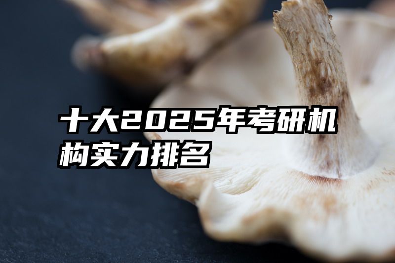 十大2025年考研机构实力排名