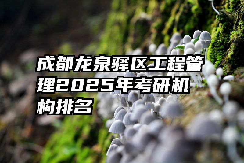 成都龙泉驿区工程管理2025年考研机构排名