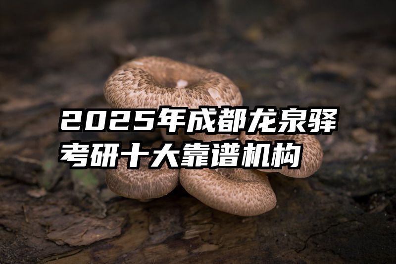 2025年成都龙泉驿考研十大靠谱机构