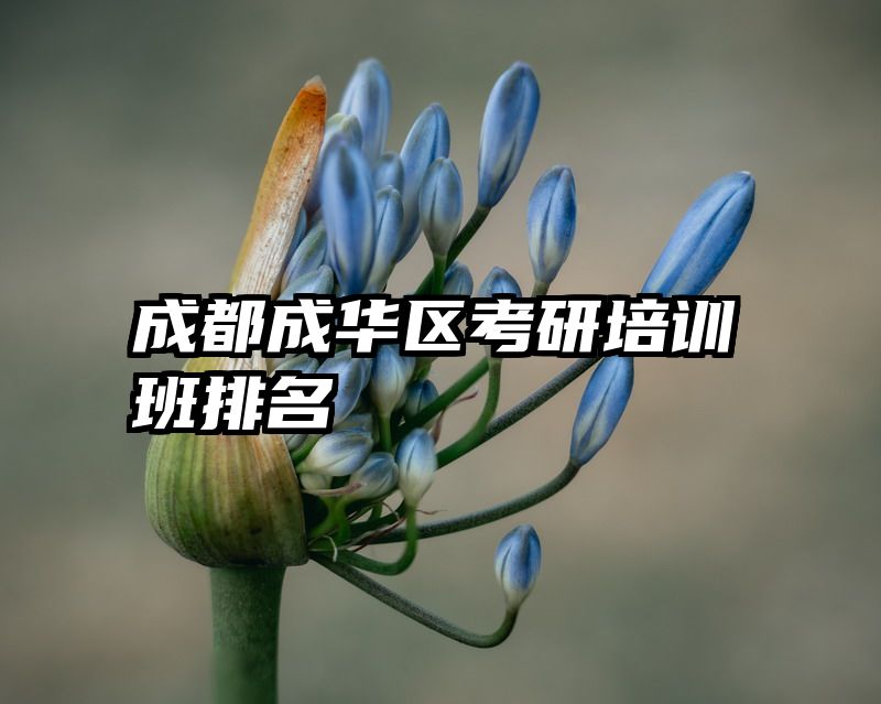 成都成华区考研培训班排名