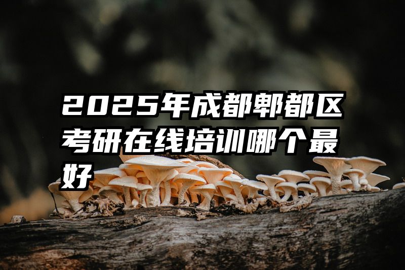 2025年成都郫都区考研在线培训哪个最好