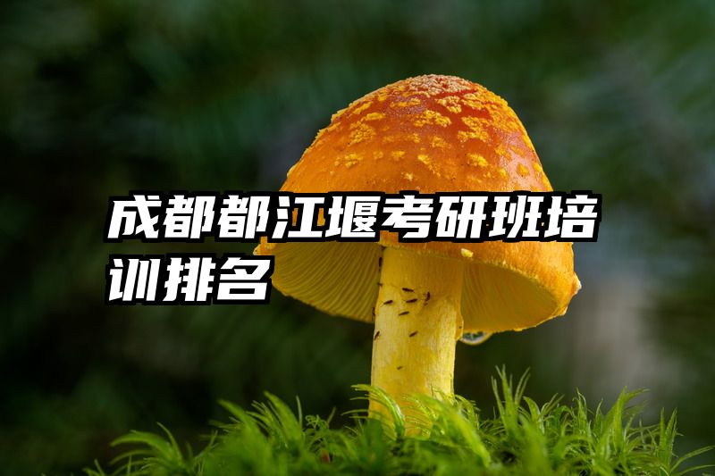 成都都江堰考研班培训排名