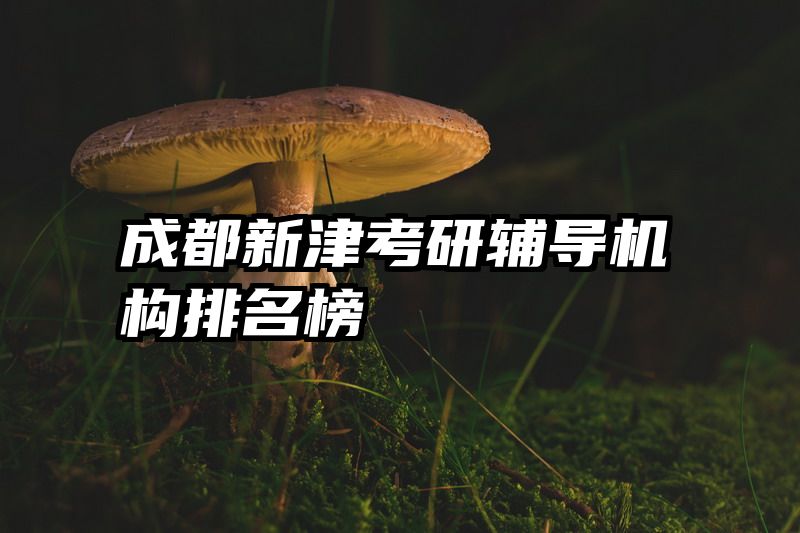 成都新津考研辅导机构排名榜